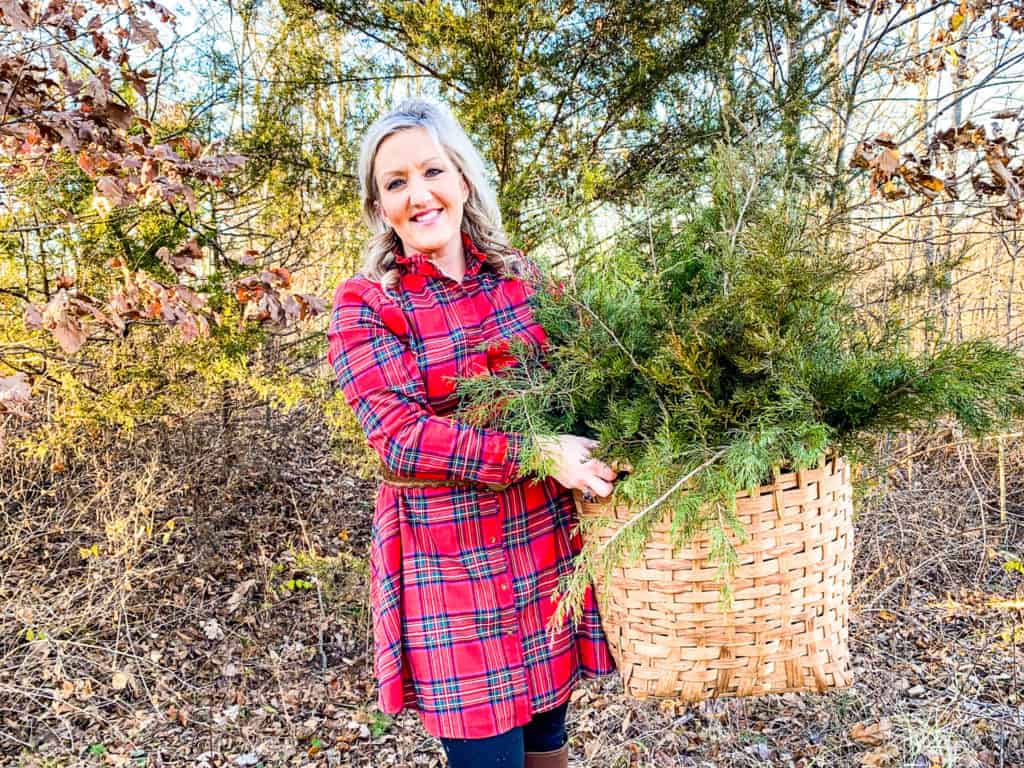 fresh cedar boughs