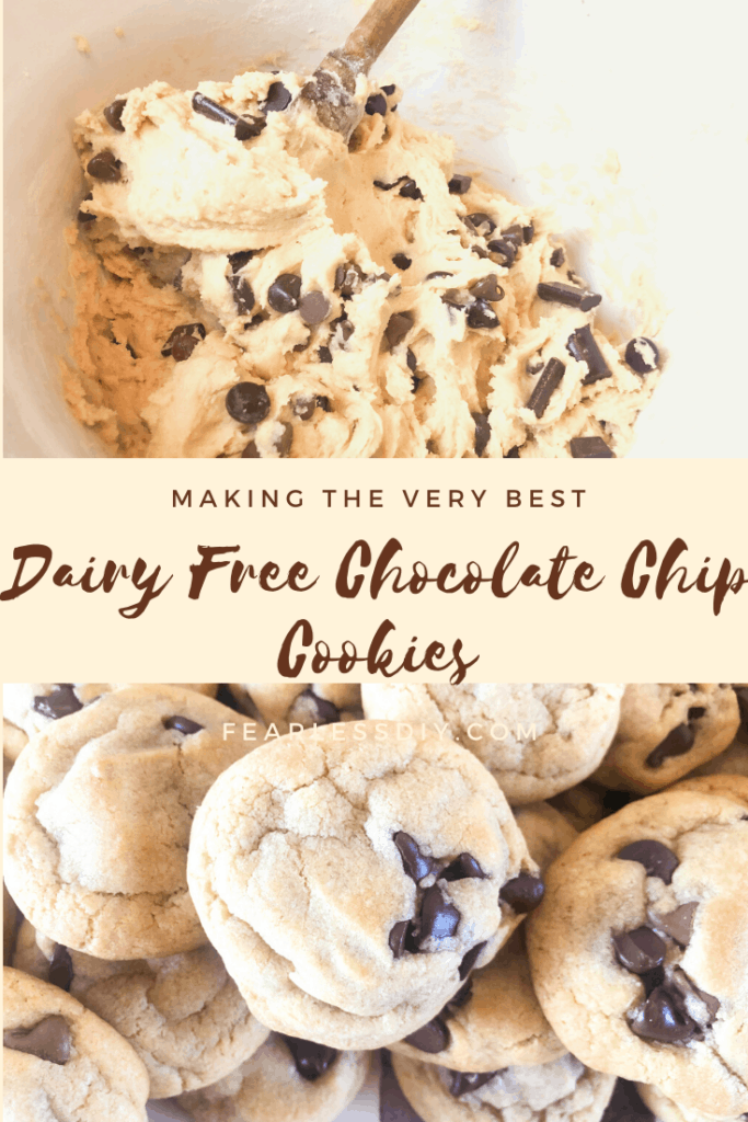 Dairy Free Chocolate Chip Cookie