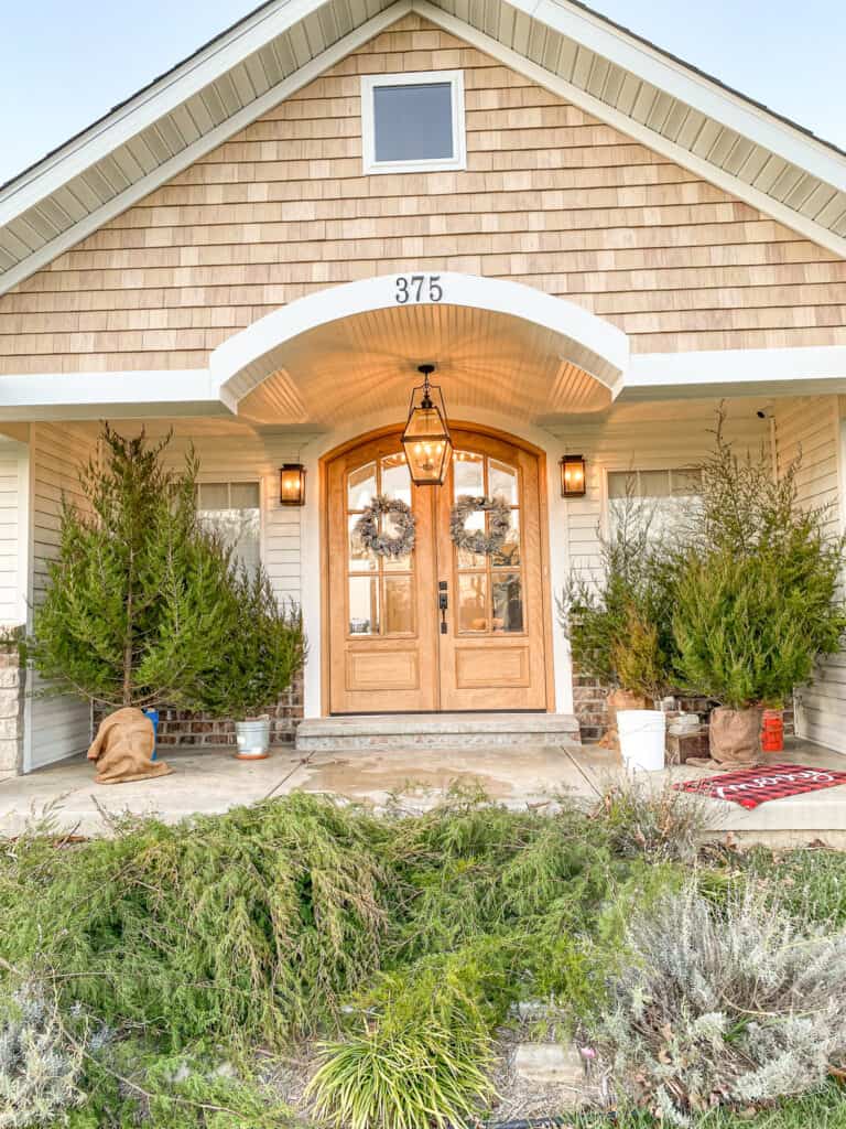 Christmas trees on a front porch