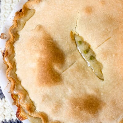 Homemade Dairy Free Chicken Pot Pie(dairy option)